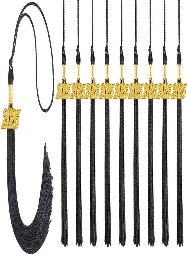 GRADFTY 10 Pieces 2025 Graduation Tassels Bulk, Black Tassels 2025 for Graduation Cap - Image 1